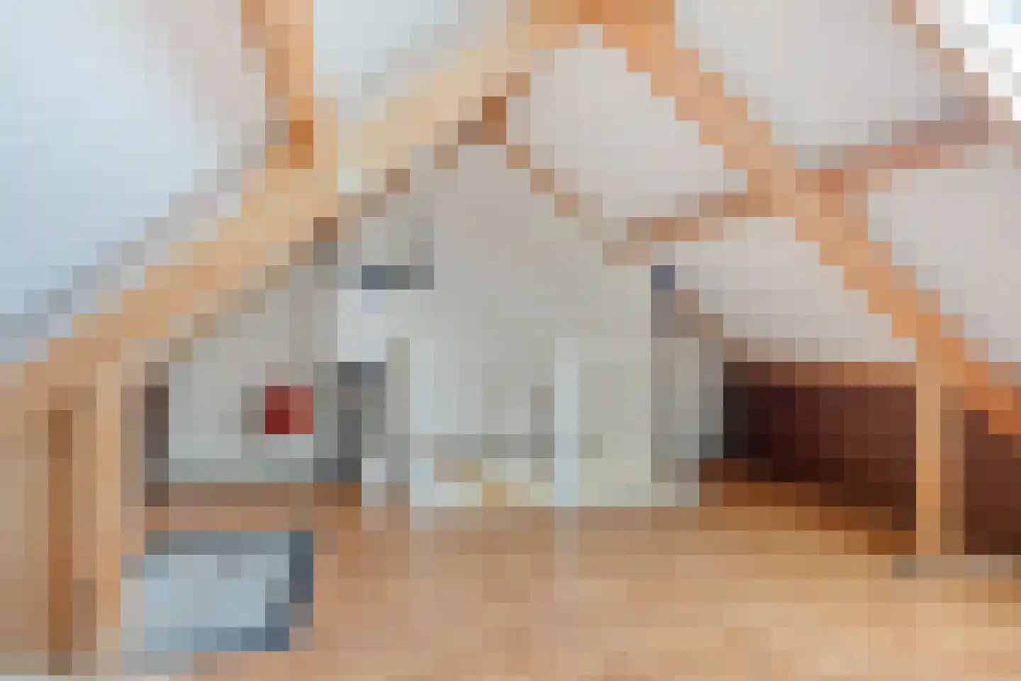 Wollegras 37 Deurne thumbnail 17