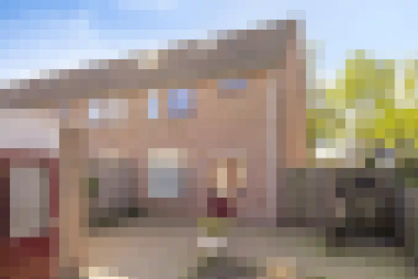 Wollegras 37 Deurne thumbnail 18