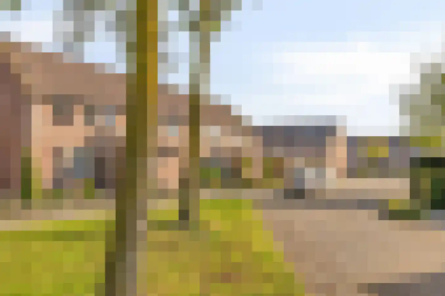 Wollegras 37 Deurne thumbnail 24