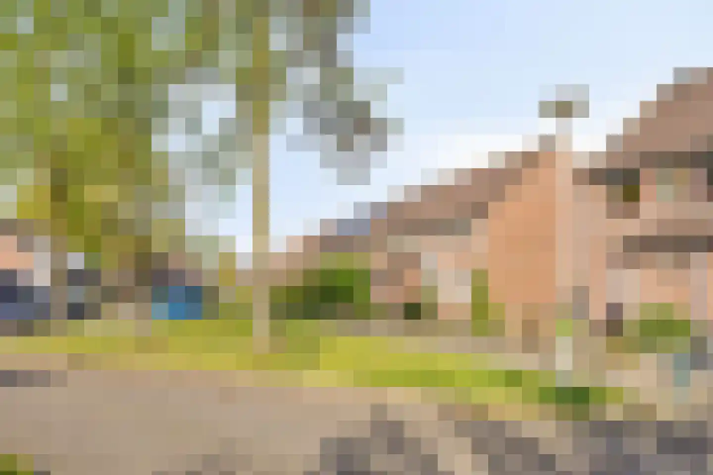 Wollegras 37 Deurne thumbnail 25