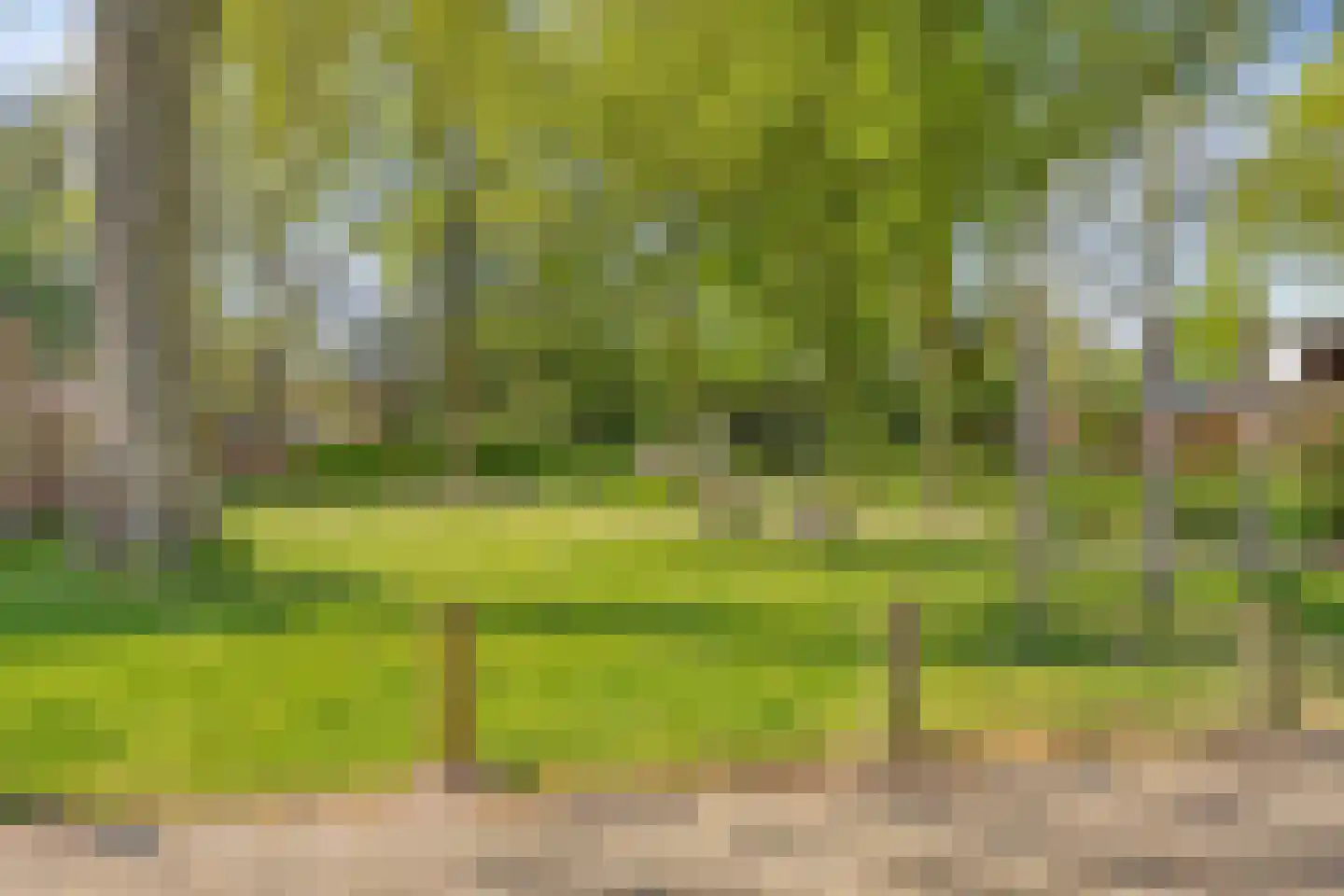 Wollegras 37 Deurne thumbnail 26