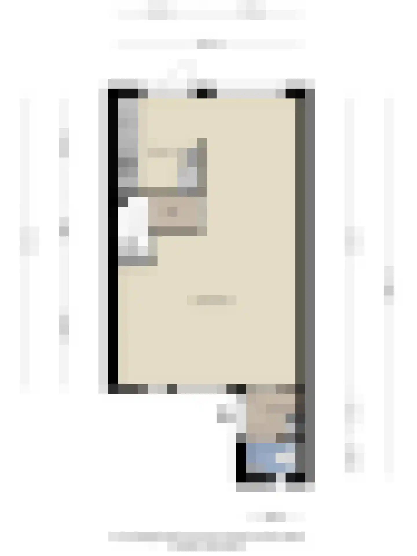 Wollegras 37 Deurne thumbnail 28