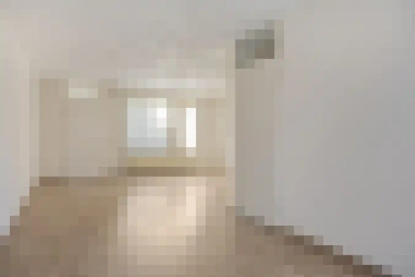 Wollegras 37 Deurne thumbnail 6