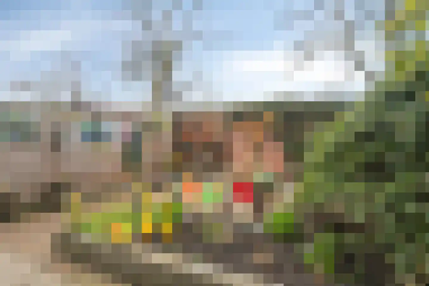 Wollegras 40 Purmerend thumbnail 27