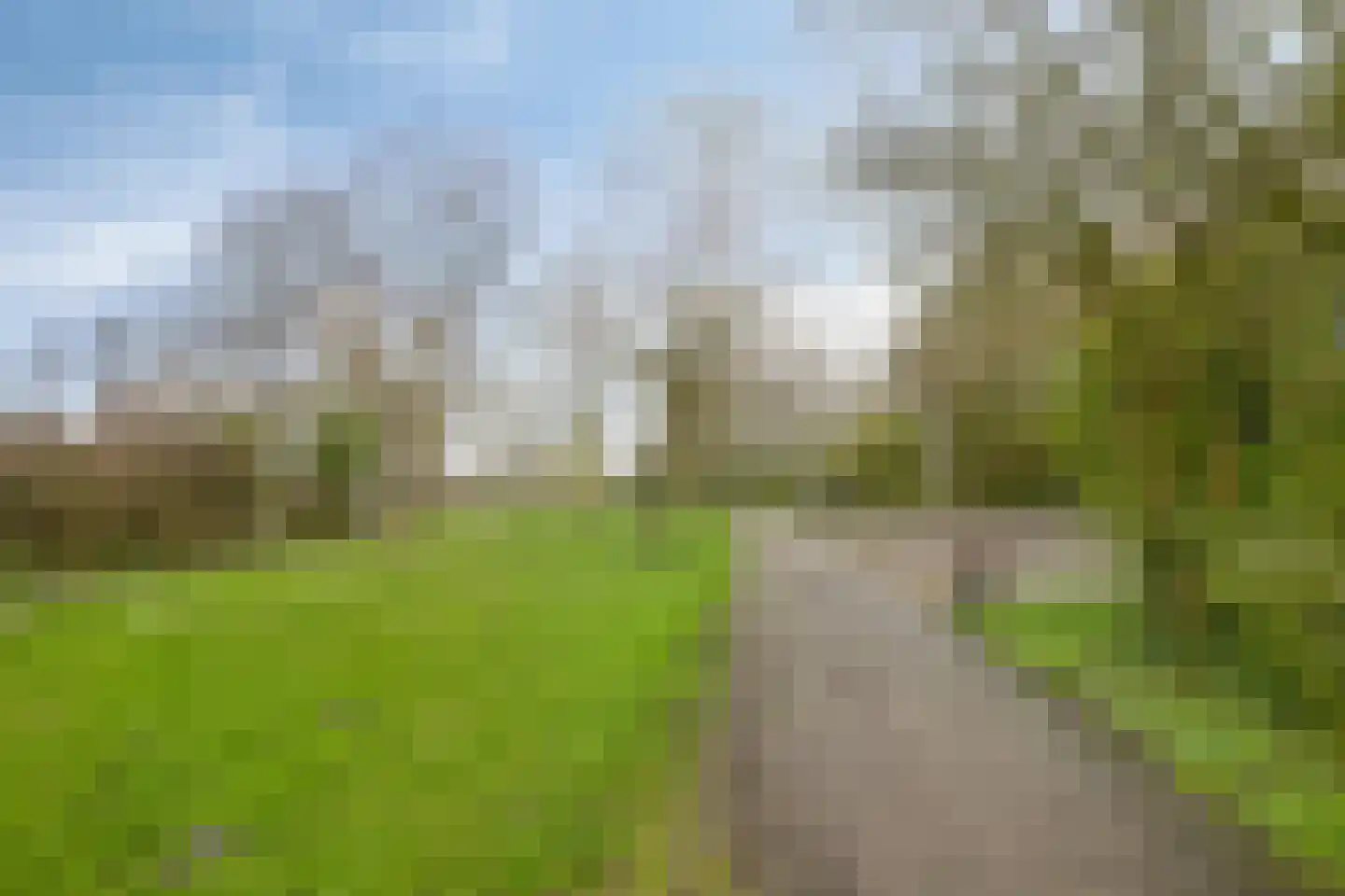 Wollegras 40 Purmerend thumbnail 32