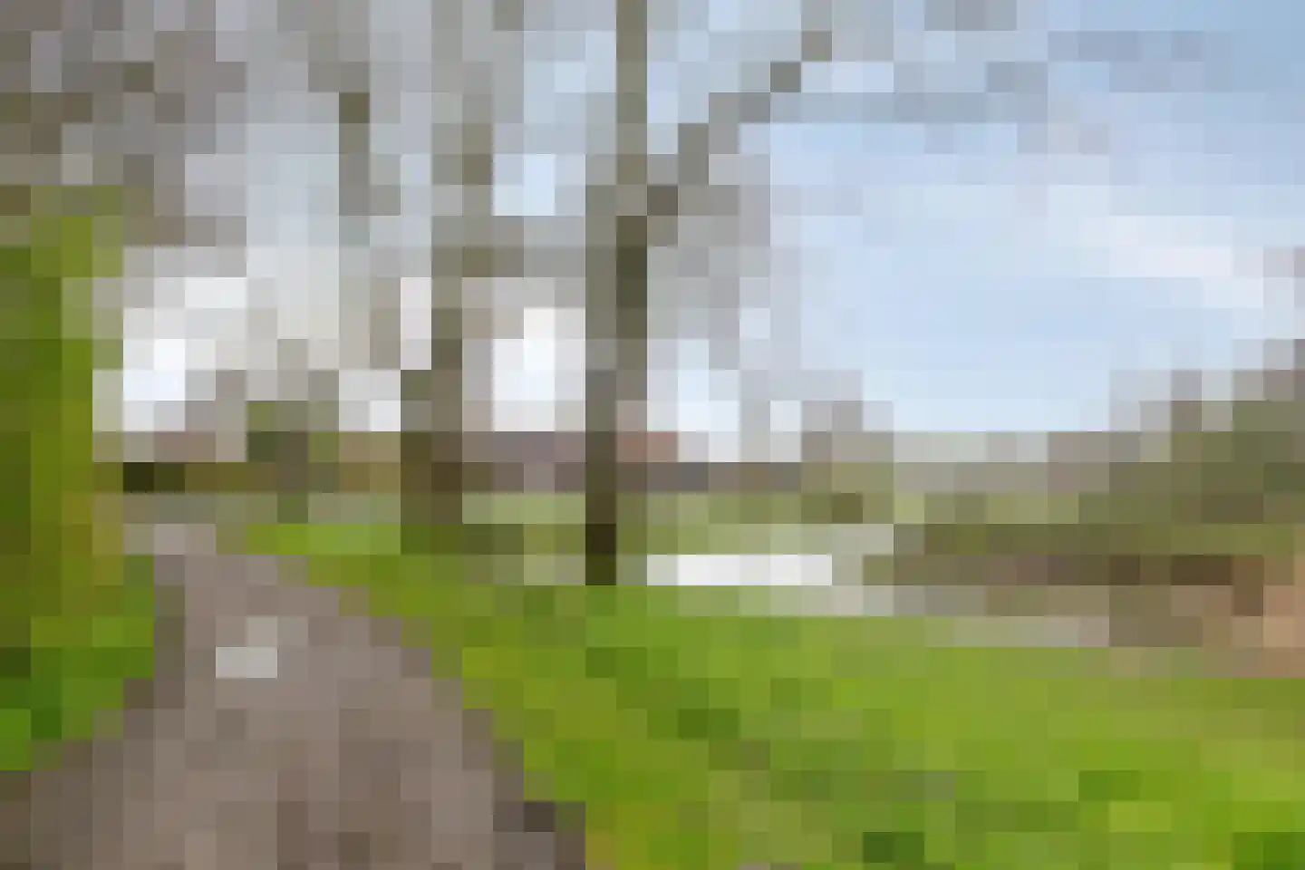 Wollegras 40 Purmerend thumbnail 33