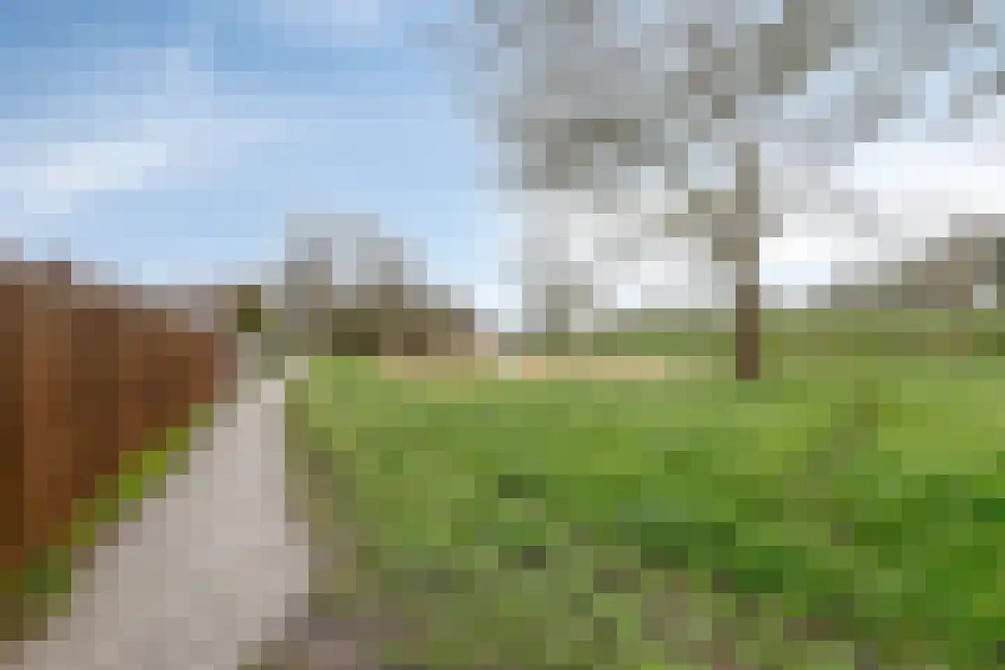 Wollegras 40 Purmerend thumbnail 35