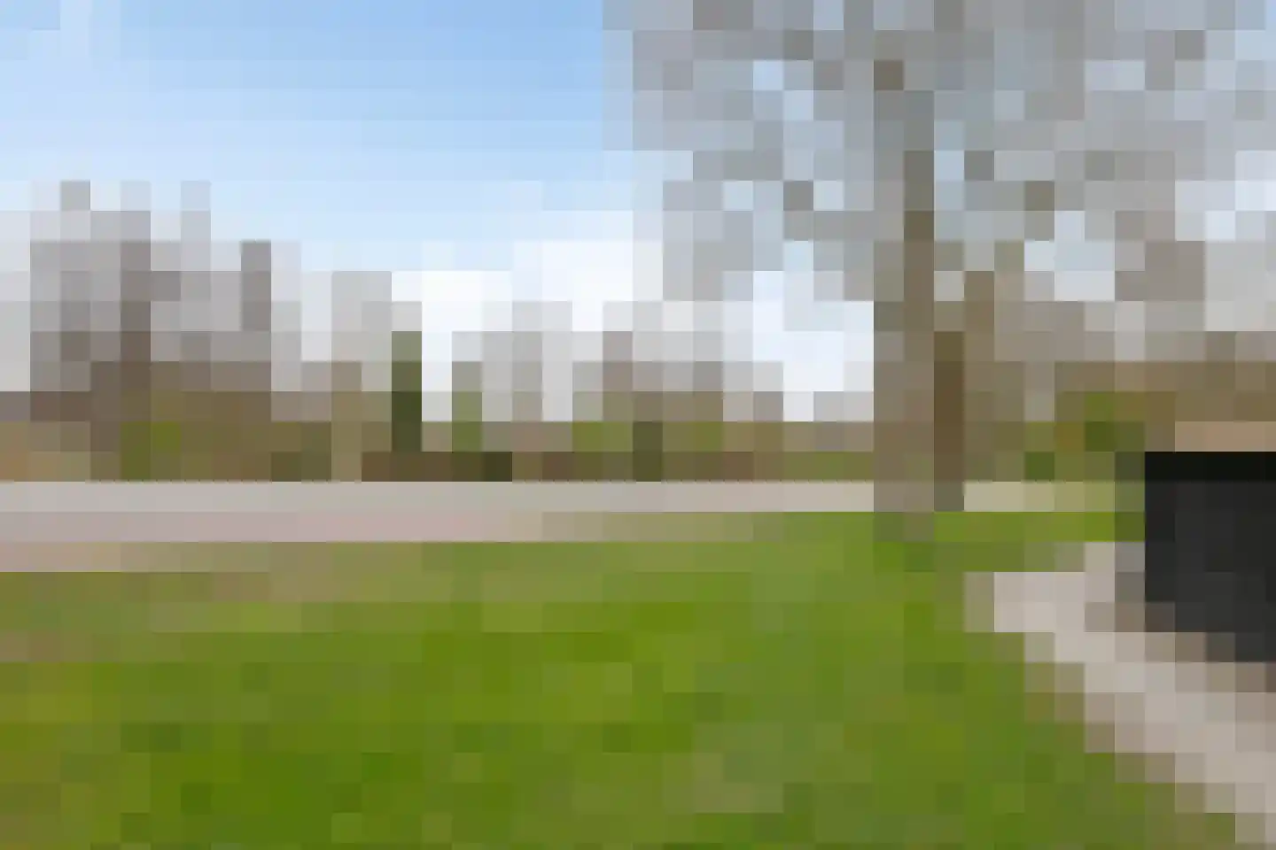 Wollegras 40 Purmerend thumbnail 37