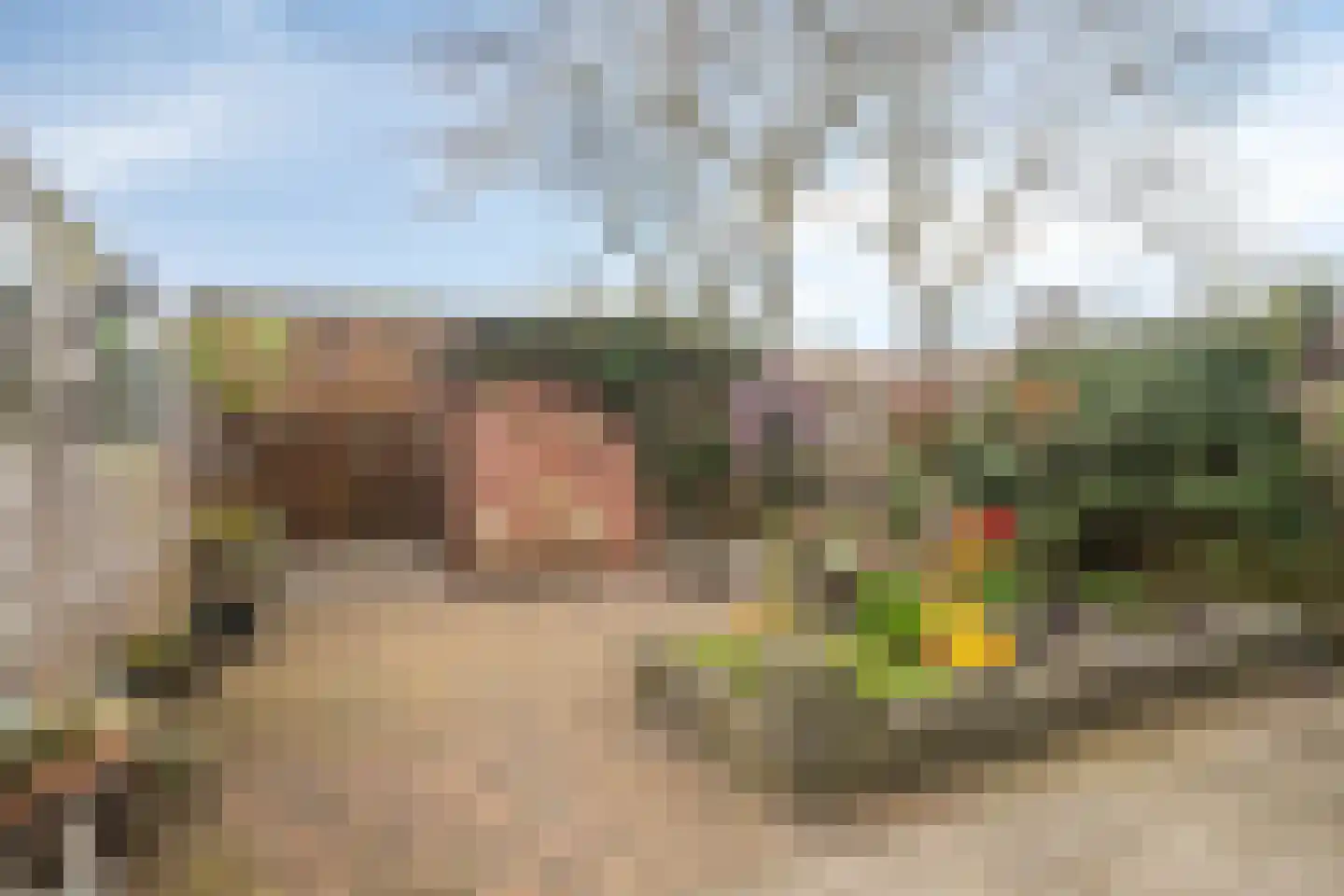 Wollegras 40 Purmerend thumbnail 6
