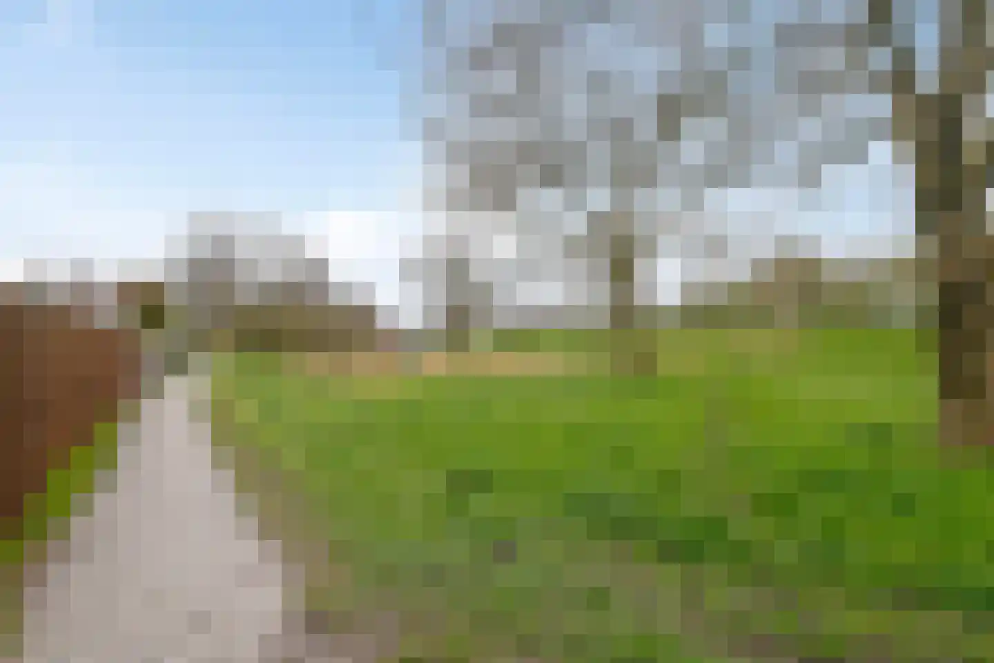 Wollegras 40 Purmerend thumbnail 8