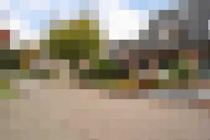 Wollegras 5 Weiteveen thumbnail 32