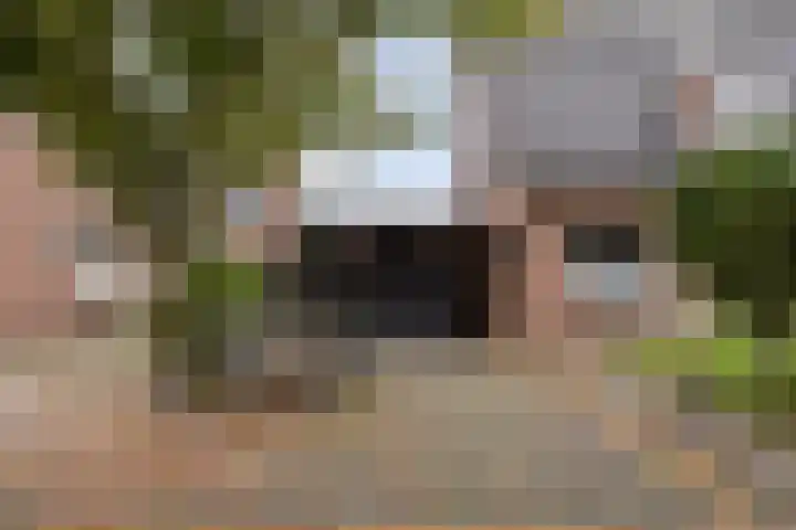 Wollegras 5 Weiteveen thumbnail 36