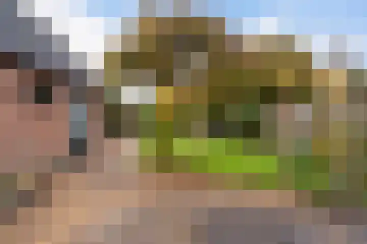 Wollegras 5 Weiteveen thumbnail 38