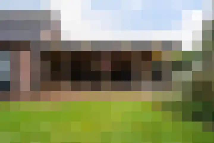 Wollegras 5 Weiteveen thumbnail 39