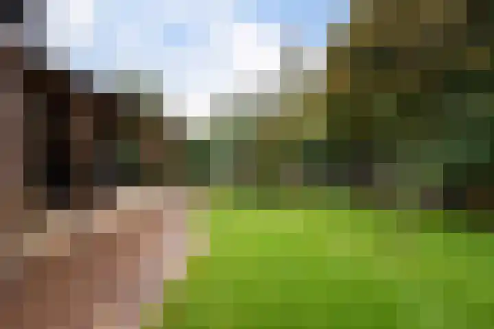 Wollegras 5 Weiteveen thumbnail 40