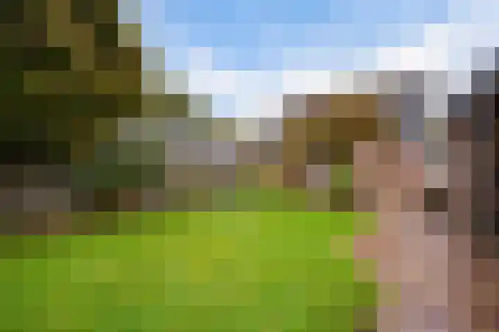 Wollegras 5 Weiteveen thumbnail 41