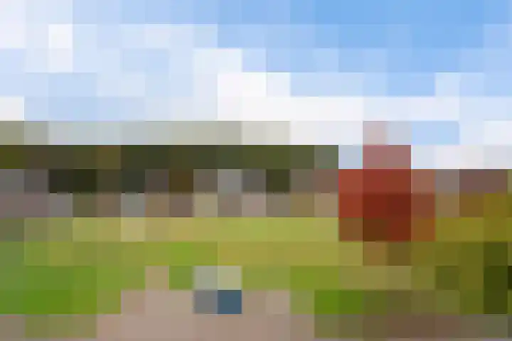 Wollegras 5 Weiteveen thumbnail 42