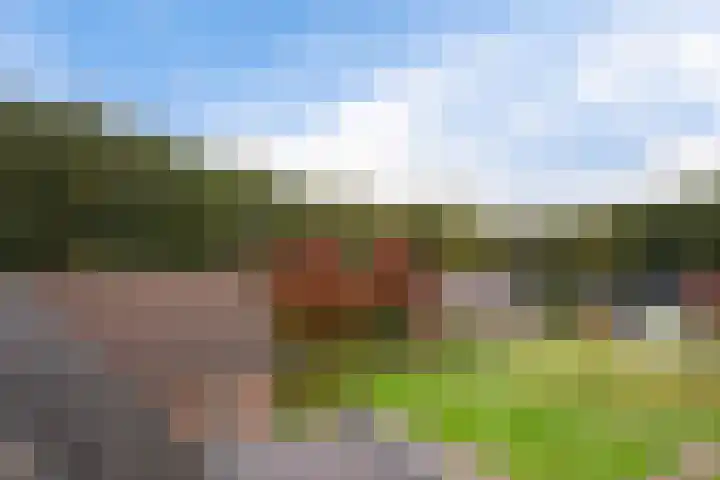 Wollegras 5 Weiteveen thumbnail 43