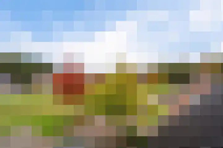 Wollegras 5 Weiteveen thumbnail 44