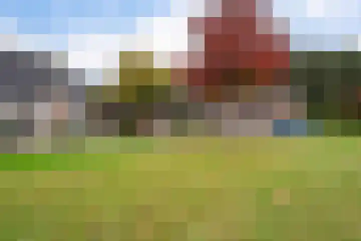 Wollegras 5 Weiteveen thumbnail 45