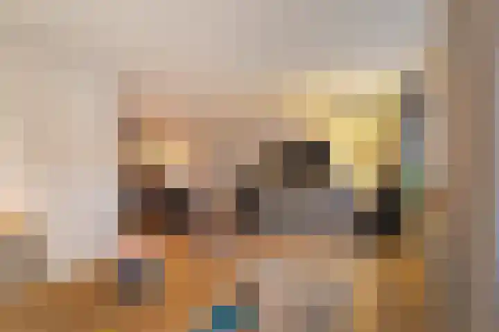 Wollegras 5 Weiteveen thumbnail 6