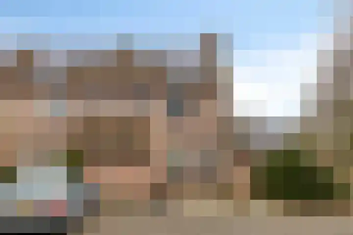 Wollegras 50 Deurne thumbnail 18