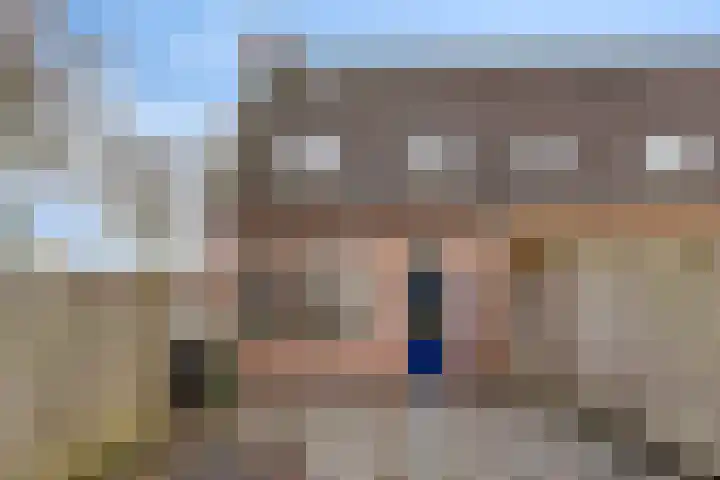 Wollegras 50 Deurne thumbnail 19
