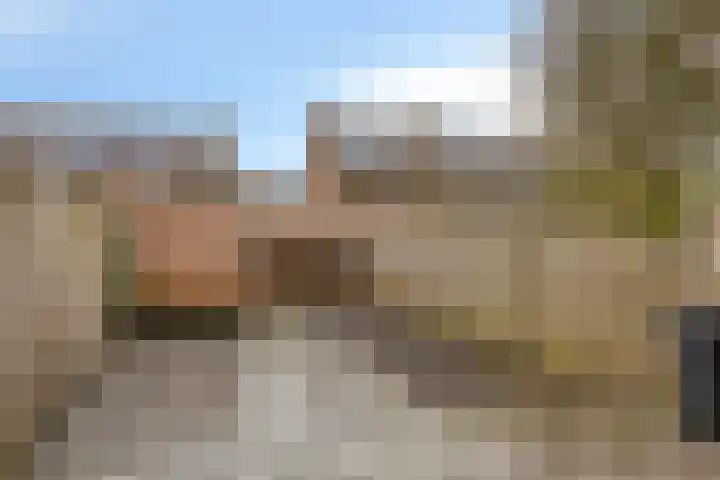 Wollegras 50 Deurne thumbnail 20