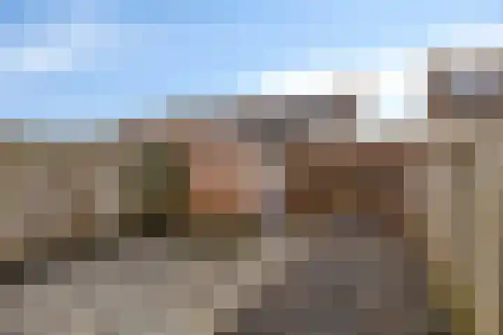 Wollegras 50 Deurne thumbnail 21
