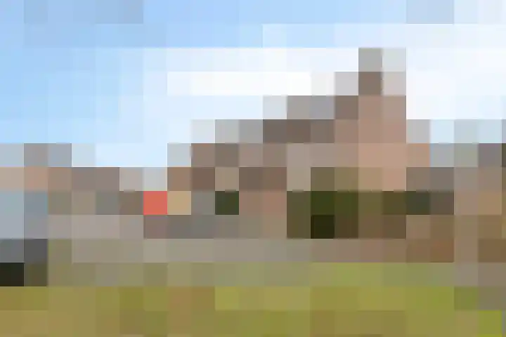Wollegras 50 Deurne thumbnail 22