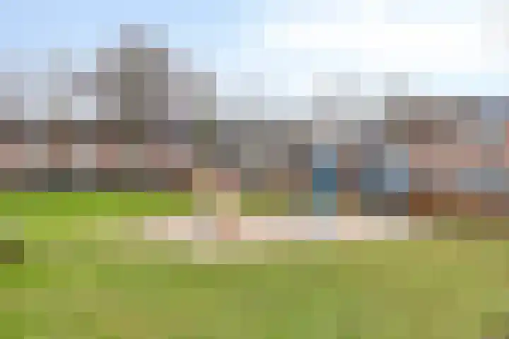 Wollegras 50 Deurne thumbnail 23