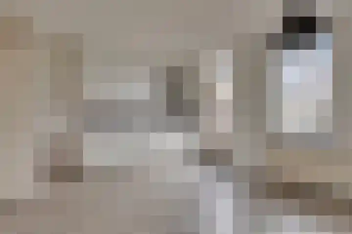 Wollegras 50 Deurne thumbnail 4