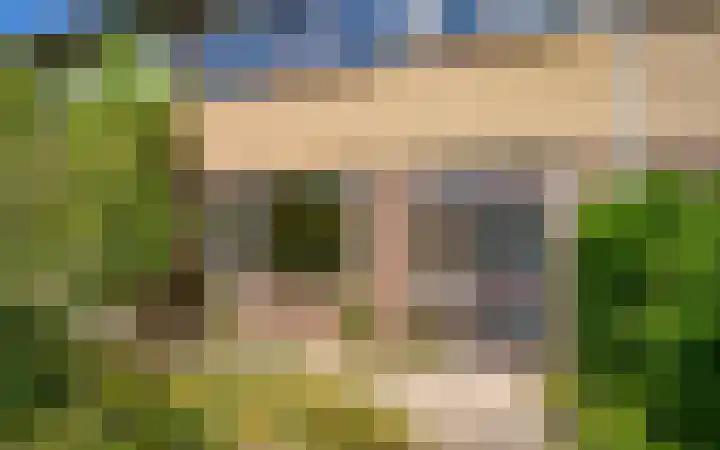 Wollegras 7 Kampen thumbnail 11