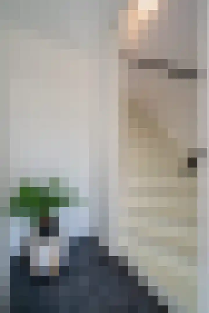 Wollegras 7 Kampen thumbnail 15