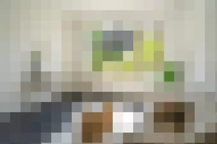 Wollegras 7 Kampen thumbnail 19
