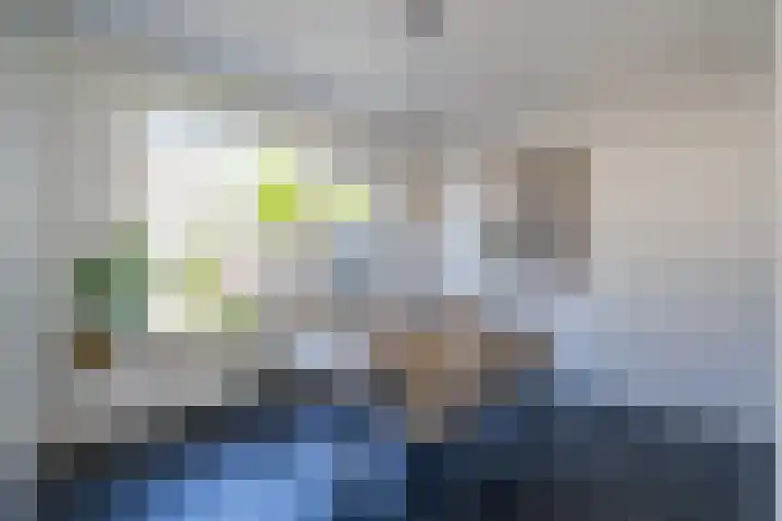 Wollegras 7 Kampen thumbnail 22