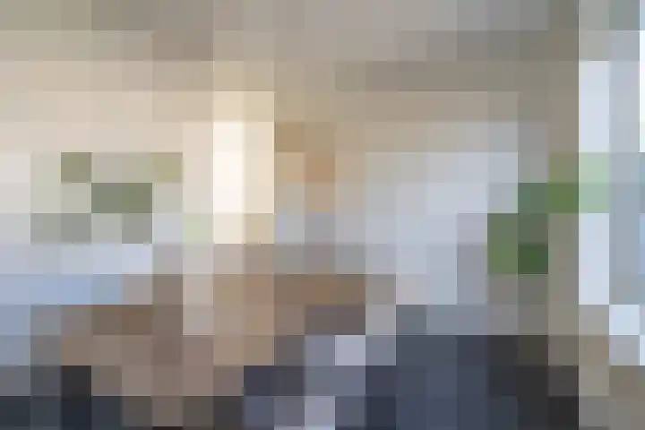 Wollegras 7 Kampen thumbnail 24