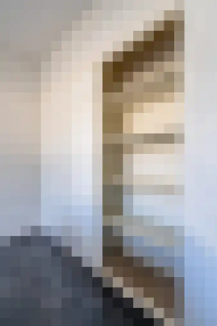 Wollegras 7 Kampen thumbnail 26