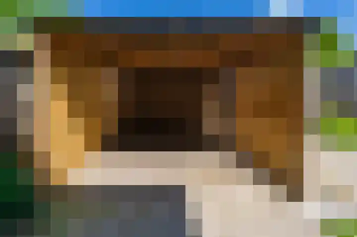 Wollegras 7 Kampen thumbnail 33