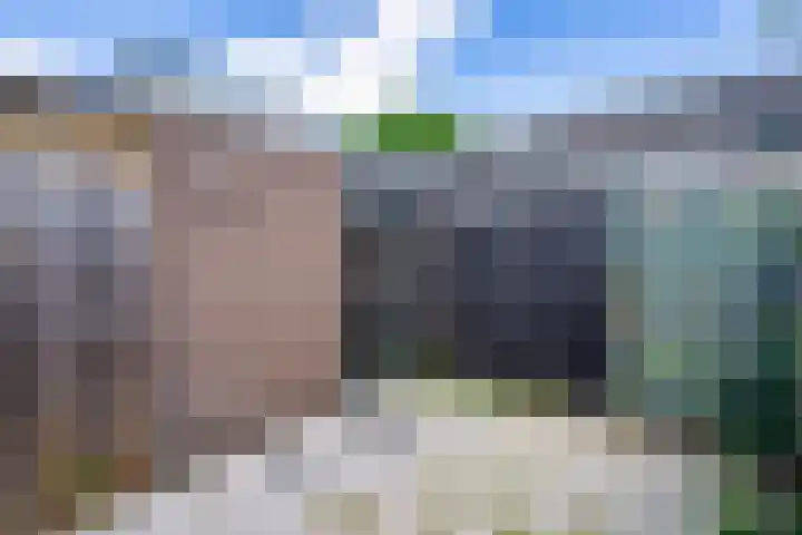 Wollegras 7 Kampen thumbnail 34