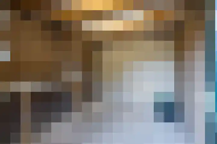 Wollegras 7 Kampen thumbnail 35