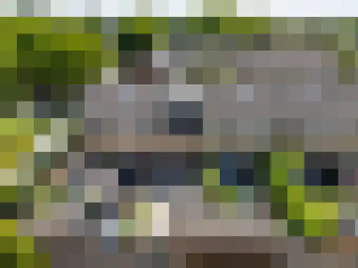 Wollegras 7 Kampen thumbnail 39