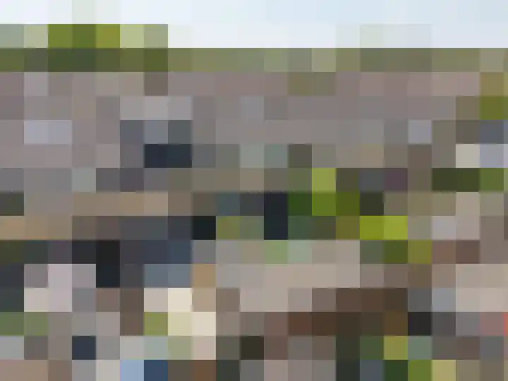 Wollegras 7 Kampen thumbnail 40