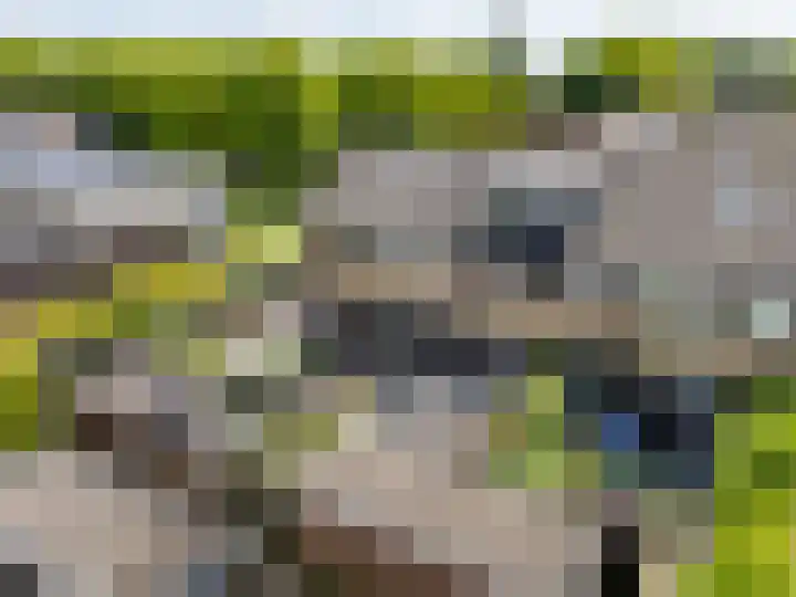 Wollegras 7 Kampen thumbnail 41