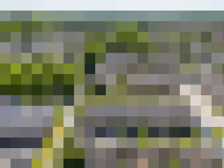 Wollegras 7 Kampen thumbnail 58