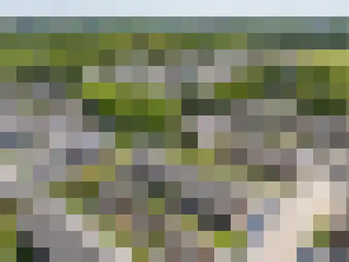 Wollegras 7 Kampen thumbnail 60