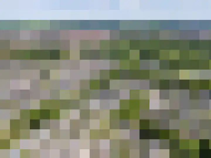Wollegras 7 Kampen thumbnail 61