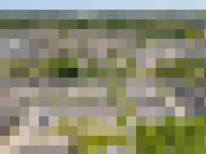 Wollegras 7 Kampen thumbnail 62