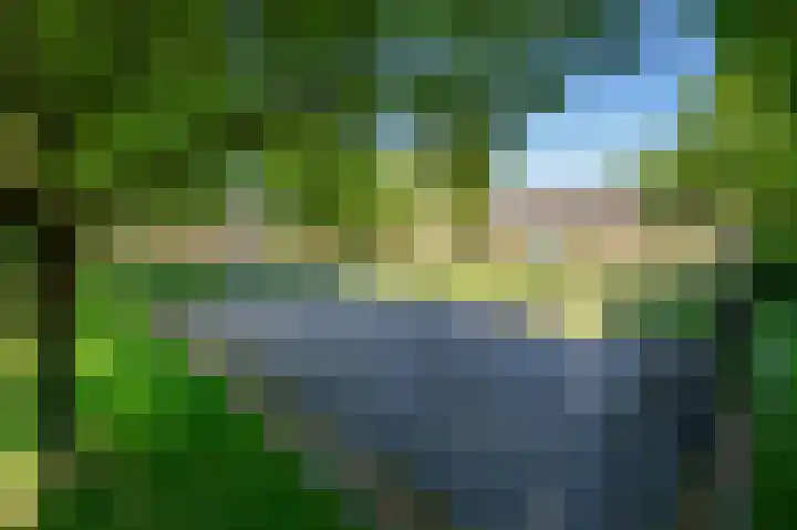 Wollegras 7 Kampen thumbnail 63