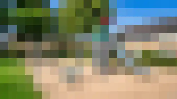 Wollegras 7 Kampen thumbnail 64